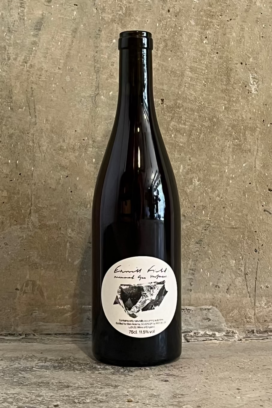 Ben Adams - Pinot 2024