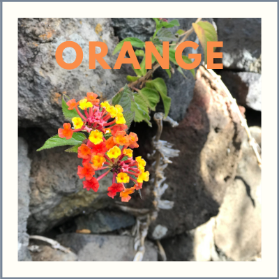 Orange