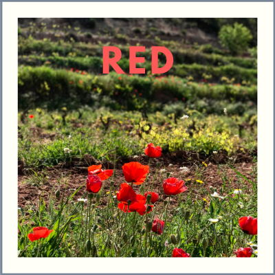 Reds