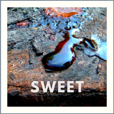 Sweet Wines