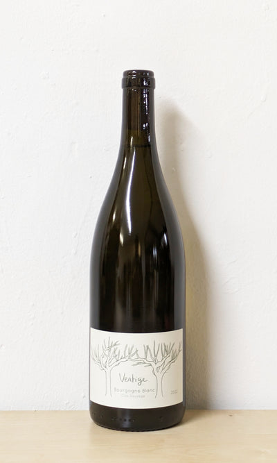 Clos Sauvage - 'Vertige' Bourgogne Blanc 2024