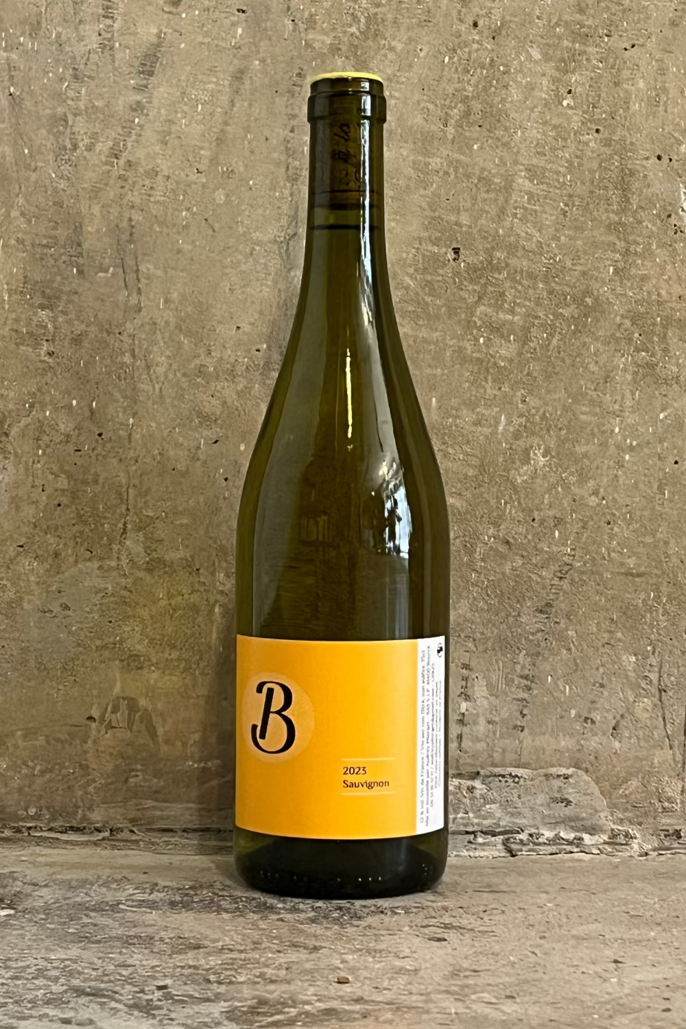 Audrey Pilorget - Sauvignon B 2024