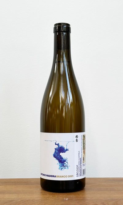 António Madeira - Branco 2023