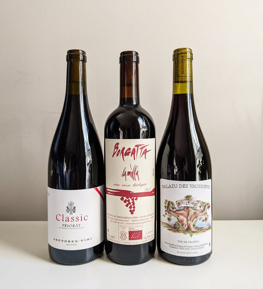 Winter Warmers Red (3-pack)